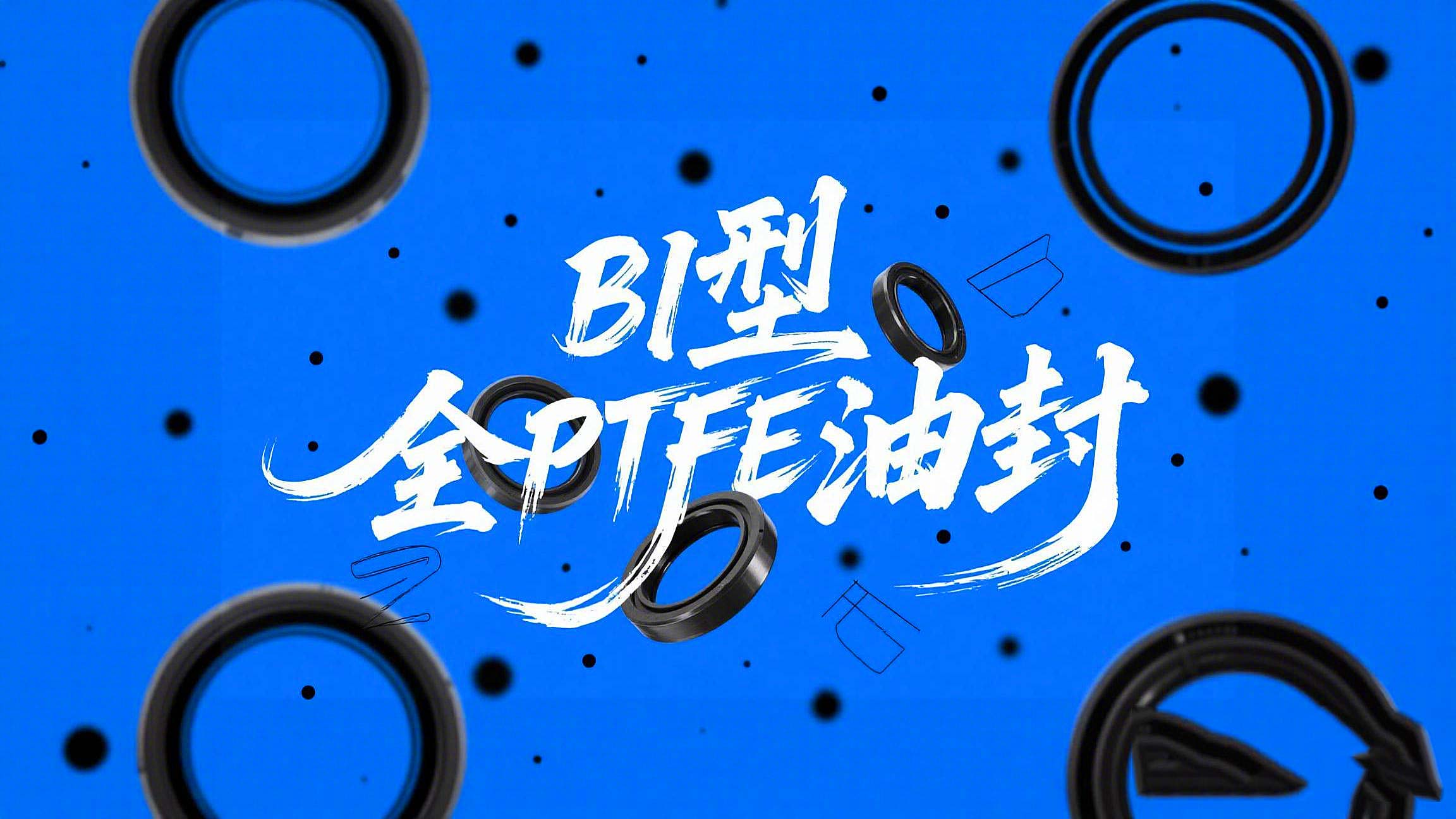 广州爱密特厂家腐蚀性介质B1型全PTFE油封的材料到底好在哪